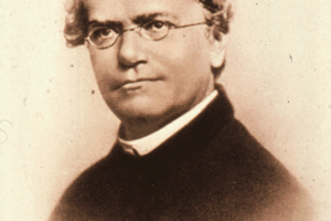Gregor Mendel Peletak dasar konsep genetika