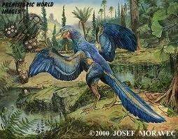 Archaeopteryx ternyata bukan bangsa burung 2