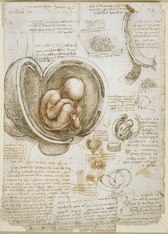 Lukisan Leonardo Da Vinci tentang anatomi manusia 3