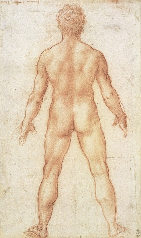 Lukisan Leonardo Da Vinci tentang anatomi manusia 7