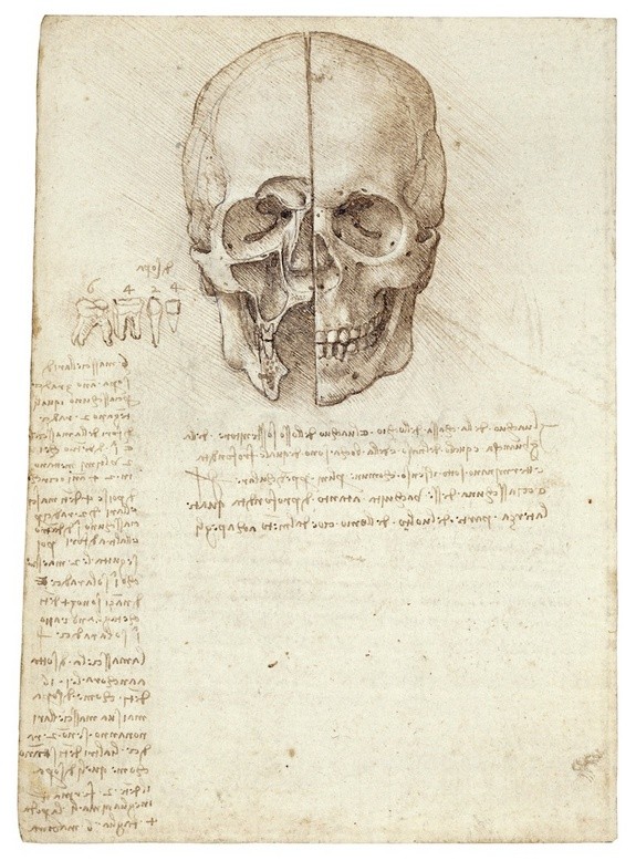 Lukisan Leonardo Da Vinci tentang anatomi manusia 9