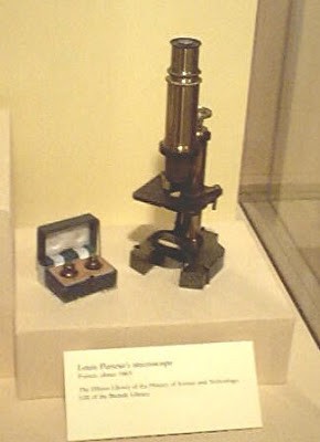 Louis Pasteur Sang Pelopor Mikrobiologi 2