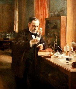 Louis Pasteur Sang Pelopor Mikrobiologi 3
