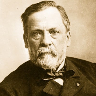 Louis Pasteur Sang Pelopor Mikrobiologi 1