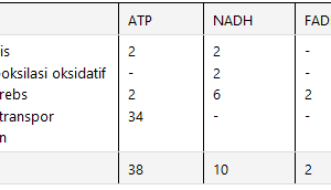 Produksi ATP : 38 ataukah 36 ? (penjelasan ulang)