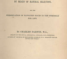 Charles Darwin sang pencetus Teori Evolusi