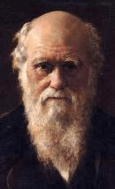 Charles Darwin sang pencetus Teori Evolusi 3