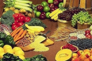 Sistem Pencernaan (1) : Jenis dan Fungsi Bahan Makanan dan Vitamin