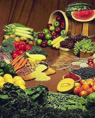 Sistem Pencernaan (1) : Jenis dan Fungsi Bahan Makanan dan Vitamin 1