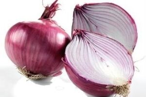 Mengamati sel-sel epidermis bawang merah