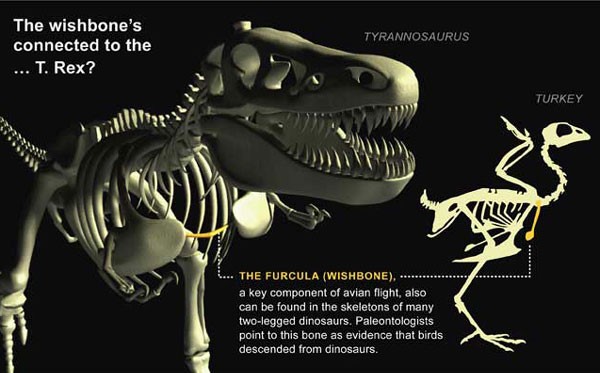 dinosaurus dibangkitkan