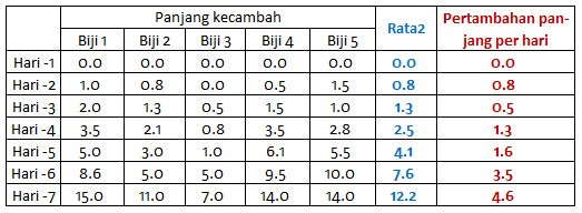 Praktikum mengukur kecepatan pertumbuhan kacang hijau 7