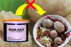 Uji kandungan boraks dalam makanan