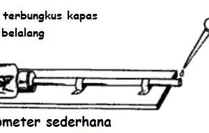 Praktikum Respirasi pada Serangga